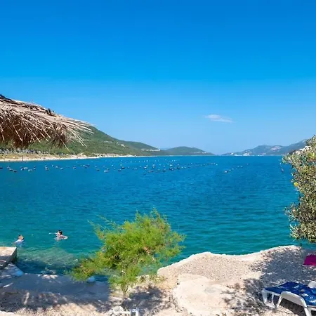 Modern Dream Neum
