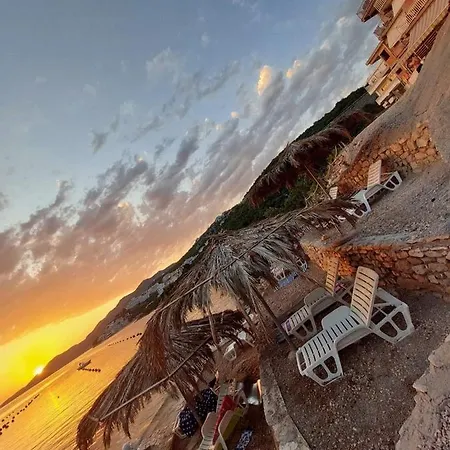 Modern Dream Neum