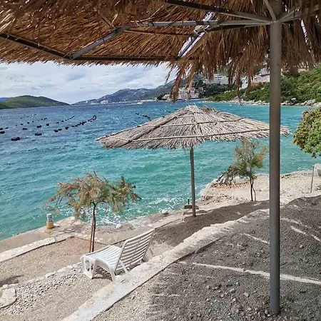 Modern Dream * Neum